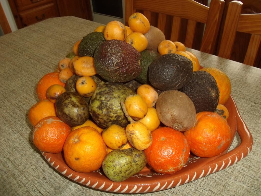 Hotel Tropical Fruit Garden Velas Exterior foto